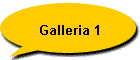 Galleria 1