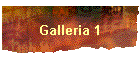 Galleria 1